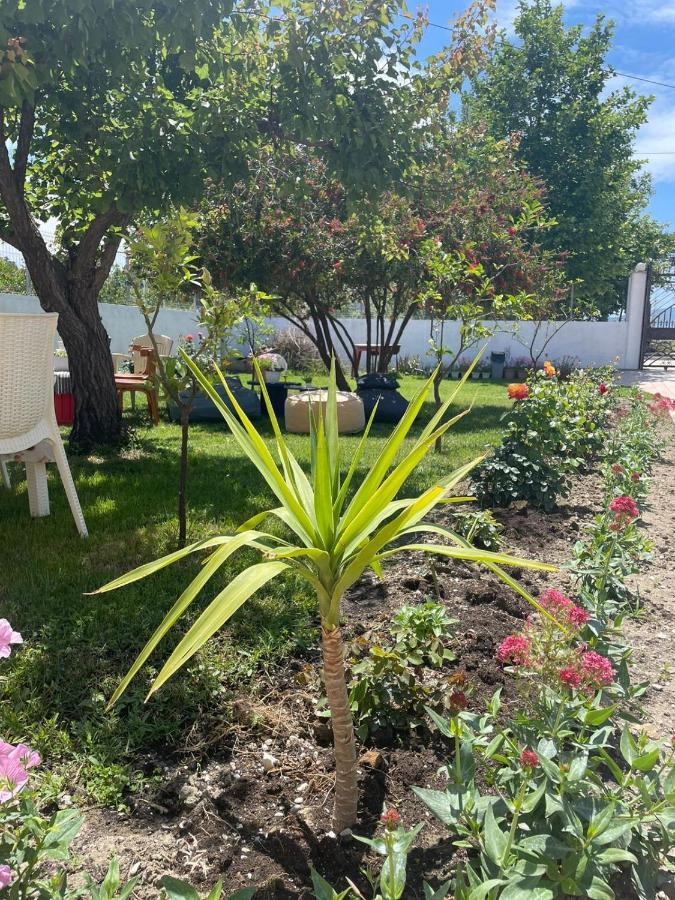 Rent Rooms Loren Vlorë 外观 照片